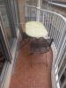 Acheter Appartement Bordeaux Gironde