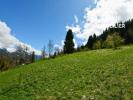 Annonce Vente Terrain Riviere-enverse