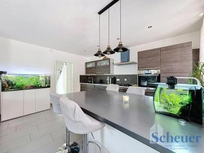 photo For sale House WESTHALTEN 68