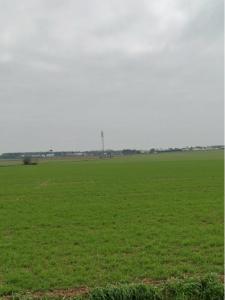 Vente Terrain ARDILLIERES 17290