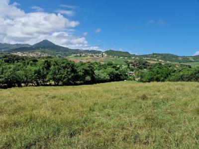 photo For sale Land VAUCLIN 972