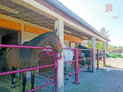 Vente Maison 8 pièces VARNEVILLE 55300