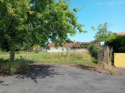 Vente Maison SAINT-HILAIRE-DE-RIEZ 