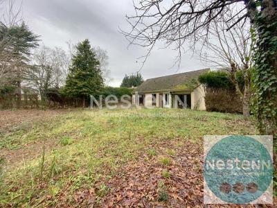 Vente Maison 4 pices CELLETTES 41120