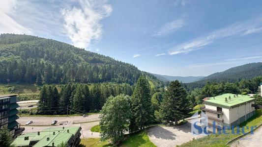 photo For sale Apartment LA-BRESSE 88