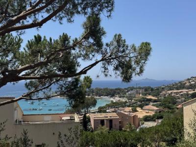 photo For sale Apartment AJACCIO 20