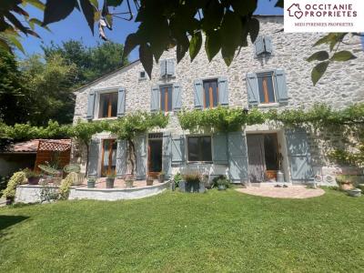 Vente Prestige SAINT-PIERRE-DE-RIVIERE 09000