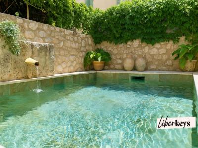 Vente Immeuble MOUSTIERS-SAINTE-MARIE 04360