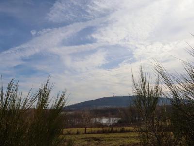 photo For sale Land LACHAPELLE-SOUS-CHAUX 90