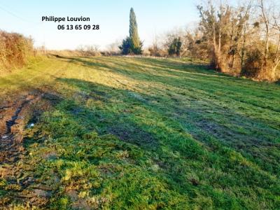 For sale Land DIEULIVOL  33
