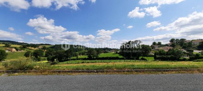 Vente Appartement PANISSIERES 