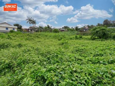 Vente Terrain TAMPON  974