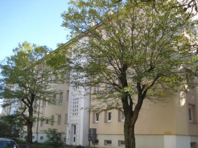 Location Appartement CERNAY 