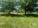 Land SERGEAC 