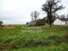 Vente Terrain Garchy 58
