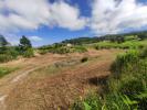 Annonce Vente Terrain Plate