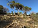 Annonce Vente Terrain Apt