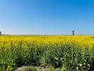 Annonce Vente Terrain Houdan