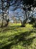 Vente Terrain Lalande-de-pomerol 33