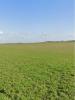 Acheter Terrain 525 m2 Ballon