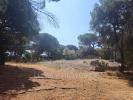 Acheter Maison Rians 678000 euros