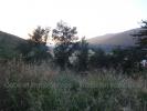 Land AMELIE-LES-BAINS 