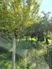 Vente Terrain 10