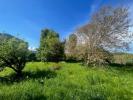 Annonce Vente Maison Cailloux-sur-fontaines