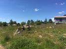 Acheter Terrain 2354 m2 Caylar