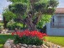 Annonce Vente 10 pièces Maison Frontignan