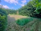 Acheter Maison Saint-martin-des-tilleuls 86000 euros