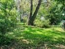 Annonce Vente Terrain Saint-lyphard