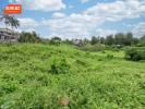 Acheter Terrain 572 m2 Tampon