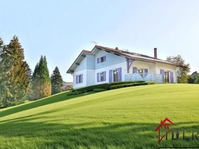 Vente Maison 8 pièces THOLY 88530
