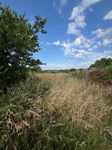 photo For sale House GOULIEN 29