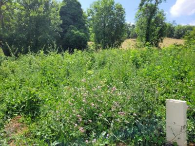 Vente Terrain SAINT-GEORGES-SUR-ALLIER  63