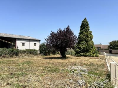 Vente Terrain LUCENAY 69480