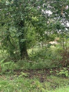 Vente Terrain TEICH 33470
