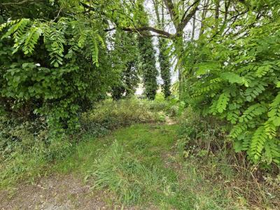 Vente Terrain BEGLES 33130