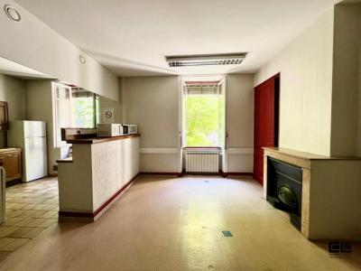 Vente Appartement 3 pices LYON-7EME-ARRONDISSEMENT 69007
