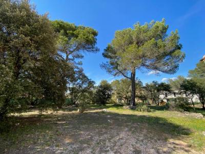 Vente Terrain LORGUES  83
