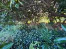 Acheter Terrain 680 m2 Saint-joseph