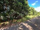 Acheter Terrain Saint-joseph 159500 euros