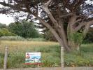Annonce Vente Terrain Saint-martin-de-fontenay