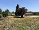 Annonce Vente Terrain Lucenay