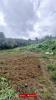 Annonce Vente Terrain Petite-ile