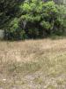 Vente Maison Biscarrosse  40600 80 m2