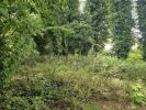 Annonce Vente Terrain Begles