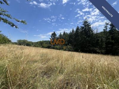 photo For sale Land MERCUER 07