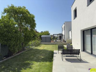 For sale House SAINTE-CROIX-EN-PLAINE 
